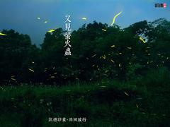 又见萤火虫 邂逅初夏的夜空精灵