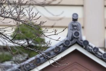 跟旅行青蛙去旅行