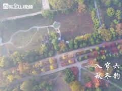 一分钟带你赏尽南京明孝陵秋景