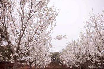 谷雨时节南昌后花园