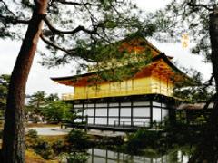 随手能拍成明信片的京都“金阁寺”