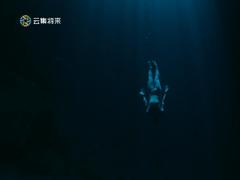 墨西哥自由深潜的梦幻之境