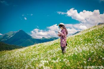 瑞士初夏 山中看水仙