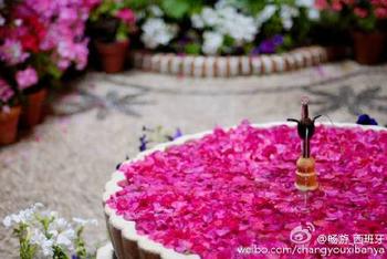 百花丛中的科尔多瓦
