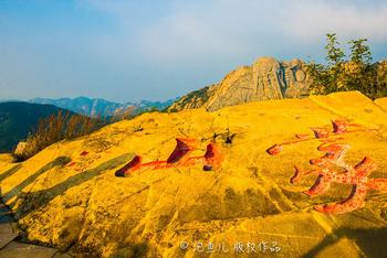 沂蒙山上好风光