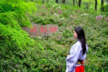 花舞人间四月天