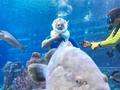 来“失落的空间”水族馆探一探各种珍奇海洋生物的真面容