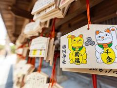 去《旅行青蛙》去过的地方,吃一碗博多拉面