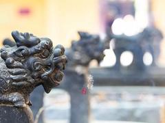 江南第一山下的千年古刹 竟有一只大名鼎鼎的网红喵星人