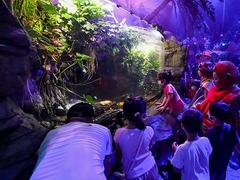 端午各省份旅游收入排行出炉 非遗体验成热门