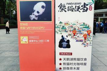 寻味成都通关秘籍
