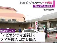 日本一商场遭熊“入侵”超13小时 防暴警察出动
