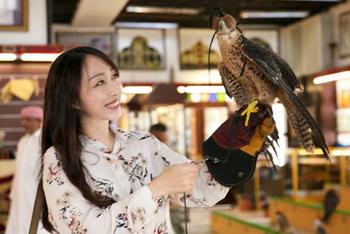小姐姐玩儿鹰