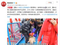 重庆一景区让肥猪蹦极