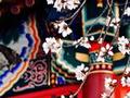 15张图让你爱上皇家范儿十足的颐和园