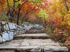 坡峰岭,承包整个秋天的红叶