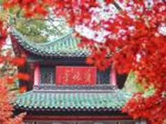长沙 带你一起打卡网红新地标