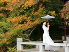 梦幻金陵秋色如画 来栖霞山做一场斑斓秋梦