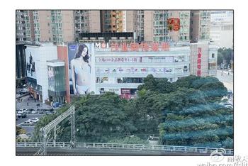 感受深圳的妩媚