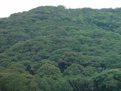 “十三五”以来森林旅游游客量年均增百分之十五