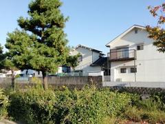 日本国家旅游局:10月访日外国旅客同比减少98.9%