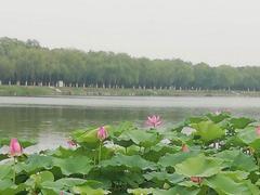 我国首次专门立法保护湿地