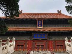 多地博物馆五一期间门票已预订一空