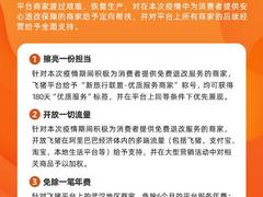 并肩作战 飞猪发布商家扶助计划